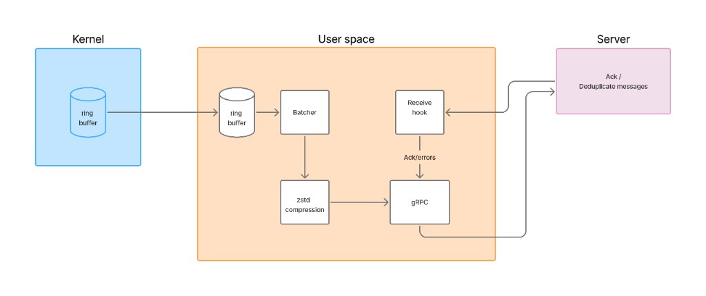 eBPF agent architecture: kernel ring buffer to userspace batcher, zstd compression, and gRPC bidirectional stream with server ack and deduplication